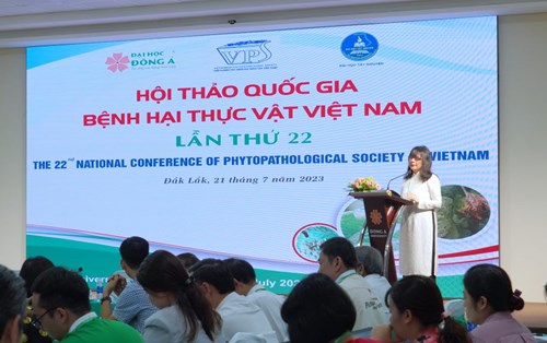 Đóng góp thiết thực vào chiến lược phát triển Tây Nguyên: Hội thảo Quốc gia Bệnh hại thực vật Việt Nam lần thứ XXII